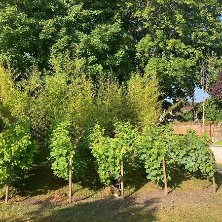 Bed and Breakfast Pierres Et Jardins Senlis  Zewnętrze zdjęcie