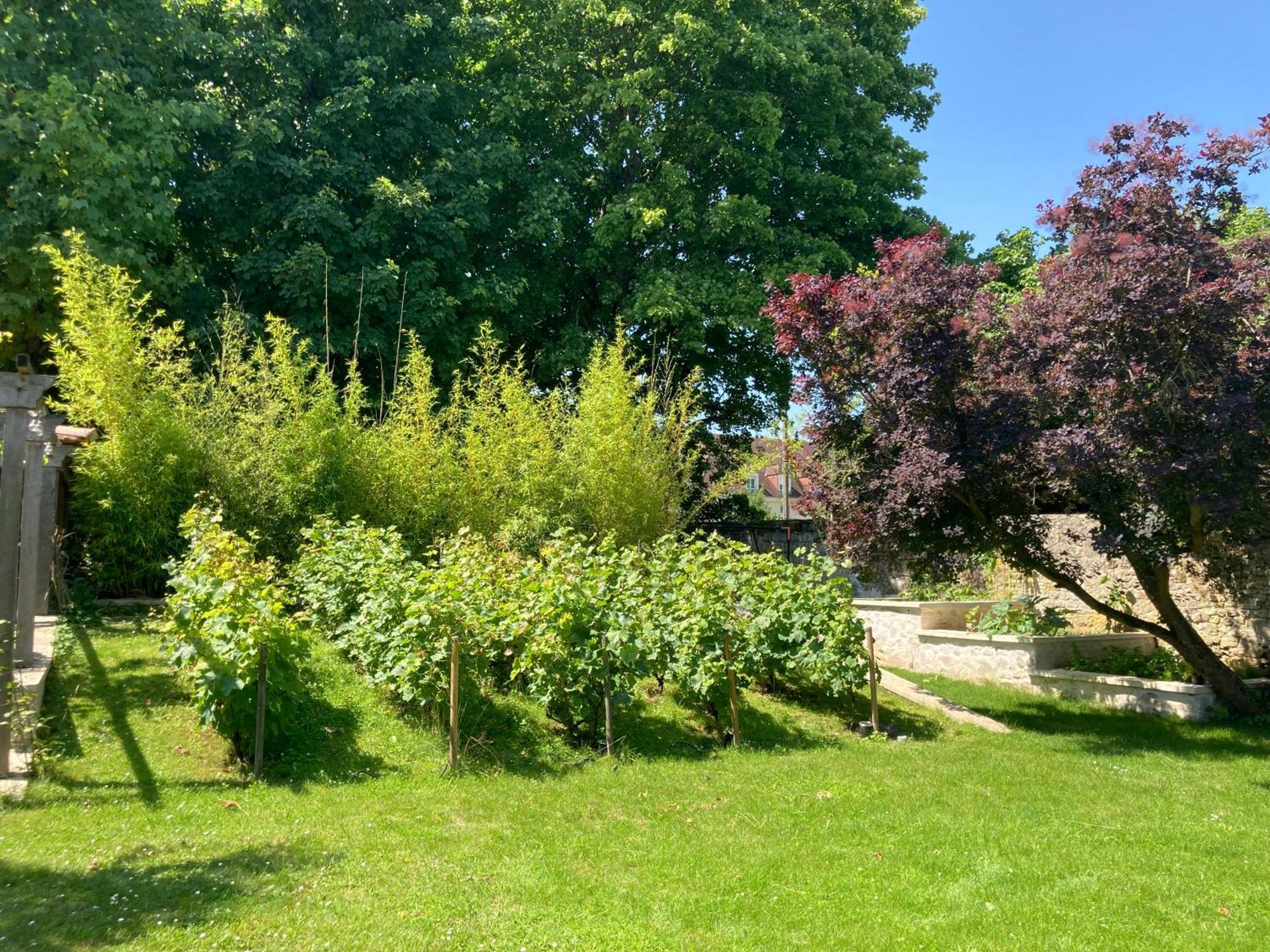 Bed and Breakfast Pierres Et Jardins Senlis  Zewnętrze zdjęcie