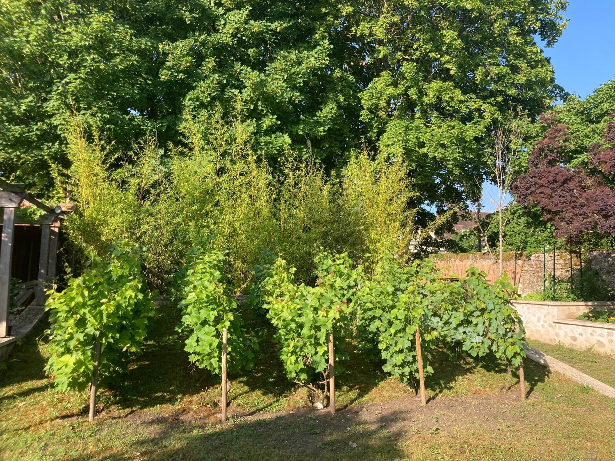 Bed and Breakfast Pierres Et Jardins Senlis  Zewnętrze zdjęcie