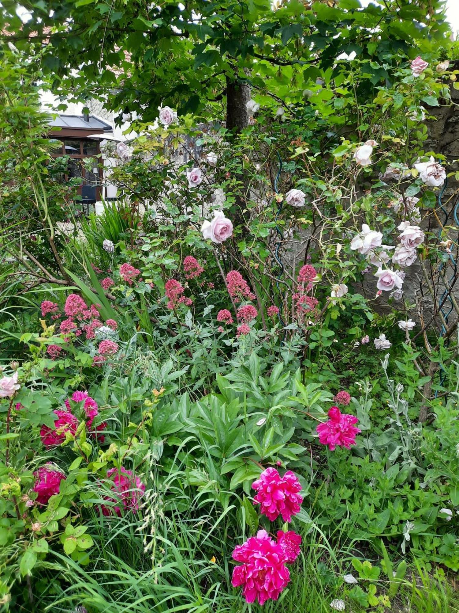 Bed and Breakfast Pierres Et Jardins Senlis  Zewnętrze zdjęcie